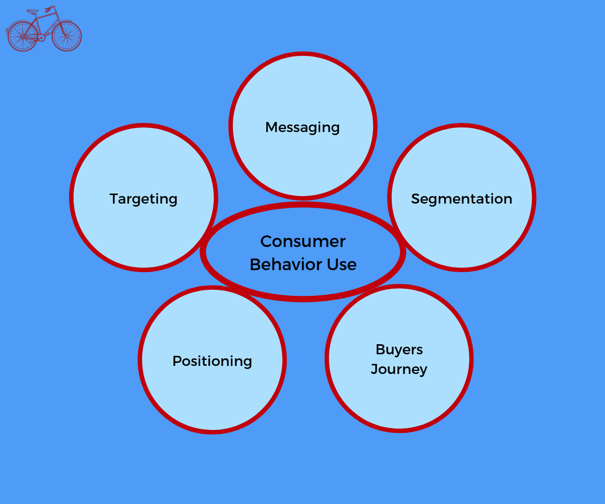 Using Consumer Behavior